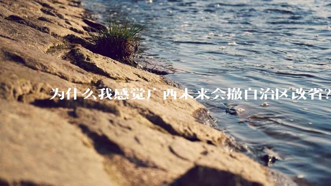 为什么我感觉广西未来会撤自治区改省？