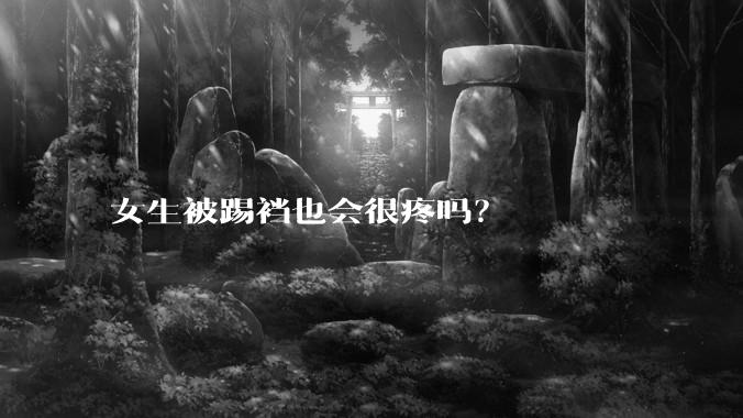 女生被踢裆也会很疼吗？