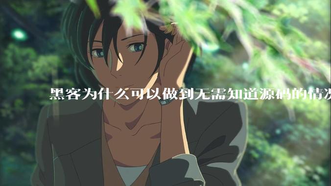 黑客为什么可以做到无需知道源码的情况下找出系统漏洞？